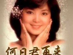 邓丽君经典歌曲《何日君再来》赏析