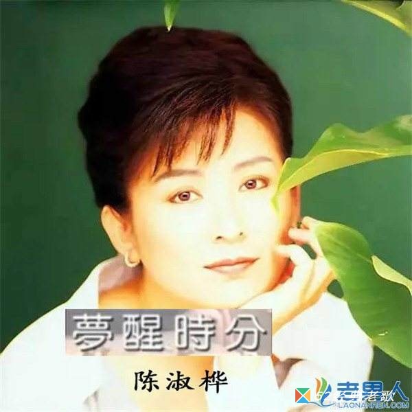 陈淑桦歌曲《秋意上心头》